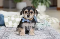 processed/c53785bd-e574-4ca2-80a5-e5457a245e79/listing/92715735-9bfb-4d66-bad1-9dd6afc98582/48239ca5-a64d-482b-9c27-02c65dc19fd2