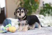 processed/c53785bd-e574-4ca2-80a5-e5457a245e79/listing/92715735-9bfb-4d66-bad1-9dd6afc98582/49f519fc-1e5f-4c97-9146-5c4025541de6