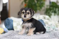 processed/c53785bd-e574-4ca2-80a5-e5457a245e79/listing/92715735-9bfb-4d66-bad1-9dd6afc98582/8037207b-5b4e-4918-bc6c-72555f324ccc