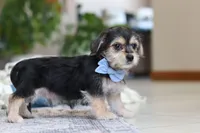 processed/c53785bd-e574-4ca2-80a5-e5457a245e79/listing/92715735-9bfb-4d66-bad1-9dd6afc98582/b9bc1b36-a76d-4902-a395-9e2f2cb4c5c0