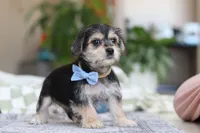 processed/c53785bd-e574-4ca2-80a5-e5457a245e79/listing/92715735-9bfb-4d66-bad1-9dd6afc98582/bf8ecbd3-870b-46c7-bea8-3a90f0febdb0