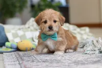 processed/c53785bd-e574-4ca2-80a5-e5457a245e79/listing/a841ac4a-62e2-4d60-9bb2-2318e6840ed4/49c86b23-0f60-4e56-af16-dee75a46a4c9