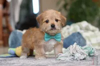 processed/c53785bd-e574-4ca2-80a5-e5457a245e79/listing/a841ac4a-62e2-4d60-9bb2-2318e6840ed4/4b2b1197-6b30-40d1-b950-25eb16dfb6ba