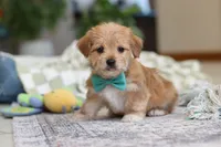 processed/c53785bd-e574-4ca2-80a5-e5457a245e79/listing/a841ac4a-62e2-4d60-9bb2-2318e6840ed4/4e6fff7d-27f1-4e06-9882-51f9d86591b9