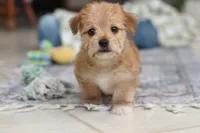 processed/c53785bd-e574-4ca2-80a5-e5457a245e79/listing/a841ac4a-62e2-4d60-9bb2-2318e6840ed4/6f219d0a-c5ed-4a57-ace5-7452987c7b00