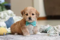 processed/c53785bd-e574-4ca2-80a5-e5457a245e79/listing/a841ac4a-62e2-4d60-9bb2-2318e6840ed4/bc1dc0f2-d23a-453a-8056-b82671d6345b