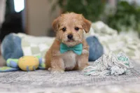 processed/c53785bd-e574-4ca2-80a5-e5457a245e79/listing/a841ac4a-62e2-4d60-9bb2-2318e6840ed4/d5d30669-0377-4d33-ad7f-eb2551d4e74a