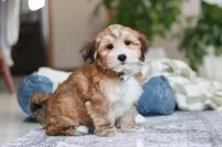 processed/c53785bd-e574-4ca2-80a5-e5457a245e79/listing/ac96797e-7e8b-42bd-baf5-e408859c89b3/3799e12d-5411-4bc0-a216-852cbc83fd4c