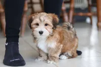 processed/c53785bd-e574-4ca2-80a5-e5457a245e79/listing/ac96797e-7e8b-42bd-baf5-e408859c89b3/c226fa3c-204d-44cc-97ef-70620c472980