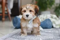 processed/c53785bd-e574-4ca2-80a5-e5457a245e79/listing/ac96797e-7e8b-42bd-baf5-e408859c89b3/e29e612c-f446-4eba-9450-0dd9e3d3bda1