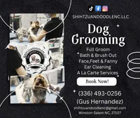 Puppies , a  Shih Tzu for sale in Winston-Salem, NC – 7 of 10