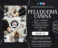Puppies , a  Shih Tzu for sale in Winston-Salem, NC – 10 of 10