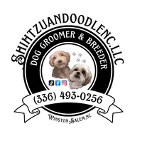 Puppies , a  Shih Tzu for sale in Winston-Salem, NC – 1 of 10