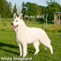 processed/c5455937-105d-4dac-a0a3-2929a55089e5/facility/982ff79d-1e03-4893-80a8-810adc10994a