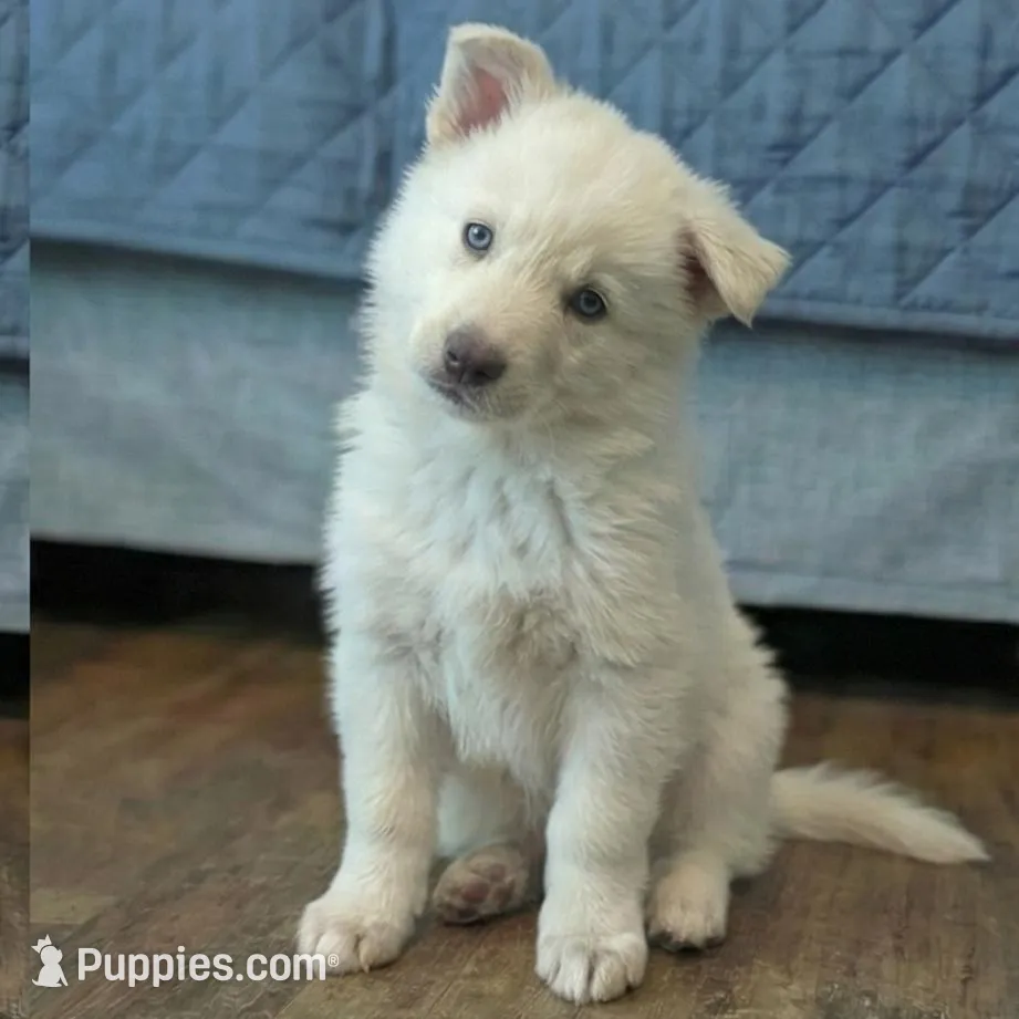 processed/c5455937-105d-4dac-a0a3-2929a55089e5/listing/423563df-ccd7-4918-86c6-ee2ca2866e69/a3e2766e-f57f-4672-b5c2-55dd44e17ade