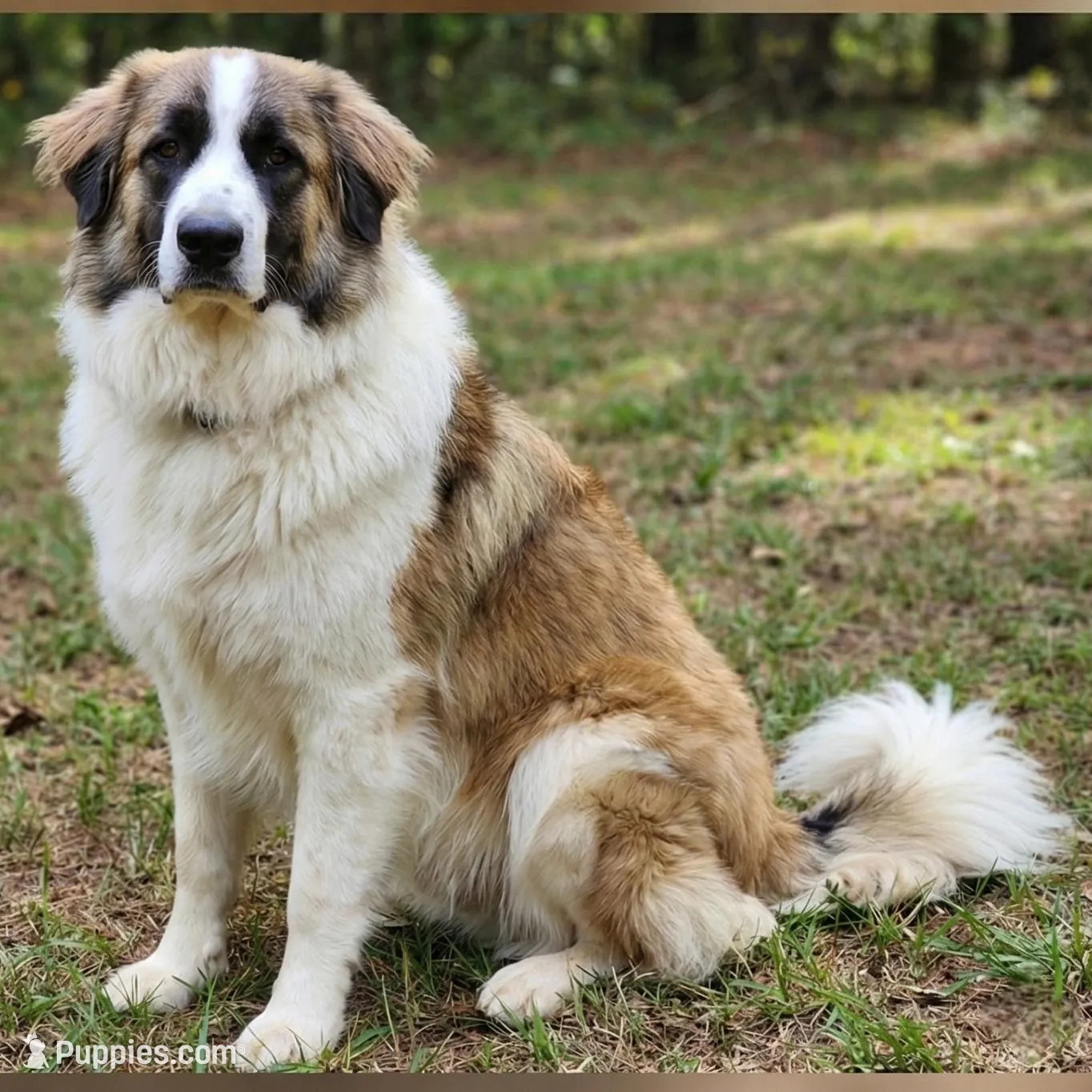 processed/c5455937-105d-4dac-a0a3-2929a55089e5/listing/423563df-ccd7-4918-86c6-ee2ca2866e69/a617266b-ac00-4209-9581-0e4474b1322d