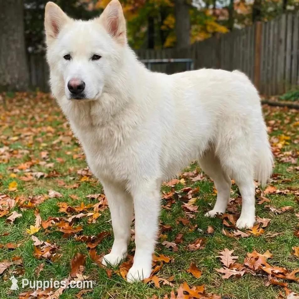 processed/c5455937-105d-4dac-a0a3-2929a55089e5/listing/704532c6-ed3e-4fef-a45b-b897ca06e978/69aa927c-5195-4d1c-a3db-57824a24d3be