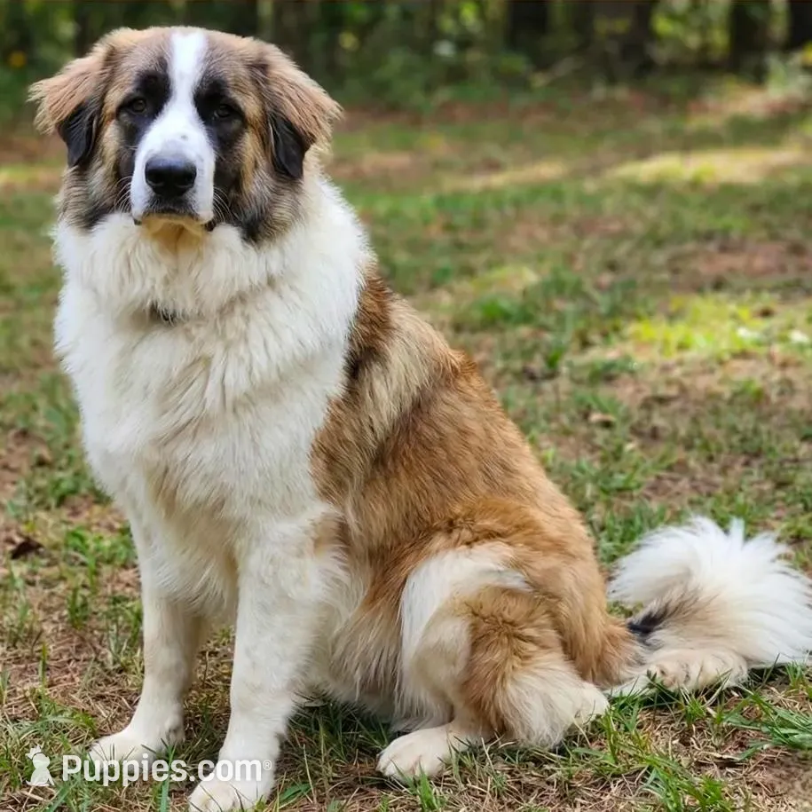 processed/c5455937-105d-4dac-a0a3-2929a55089e5/listing/704532c6-ed3e-4fef-a45b-b897ca06e978/cac8e4a2-2f6a-4a86-92f7-f6427ae1bc2a