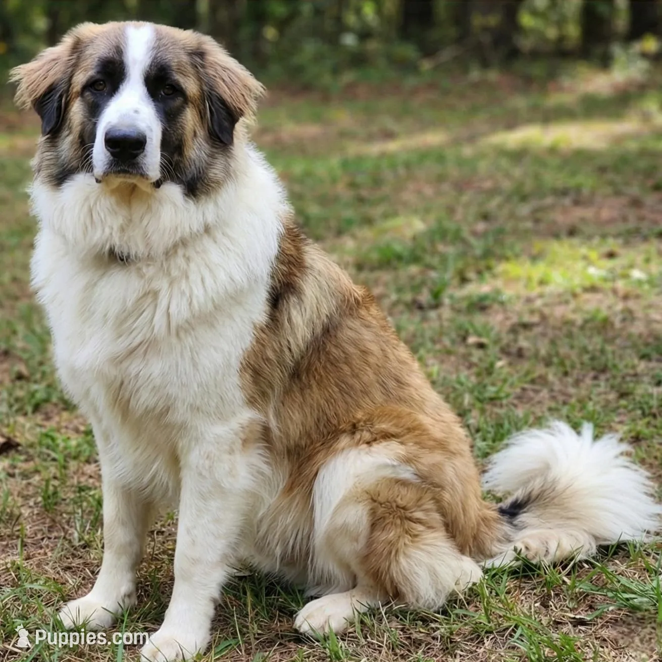 processed/c5455937-105d-4dac-a0a3-2929a55089e5/listing/878ee308-2c8e-4bd1-bb4d-22f0aeb4d387/2429a896-76ff-4b4c-a904-bb17f0bca7cd