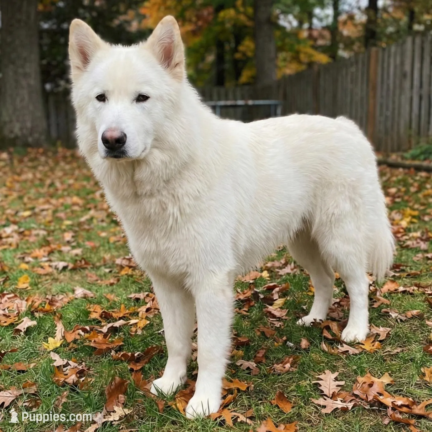 processed/c5455937-105d-4dac-a0a3-2929a55089e5/listing/878ee308-2c8e-4bd1-bb4d-22f0aeb4d387/75b41293-fe82-49d7-be05-53b5d1d7a59f