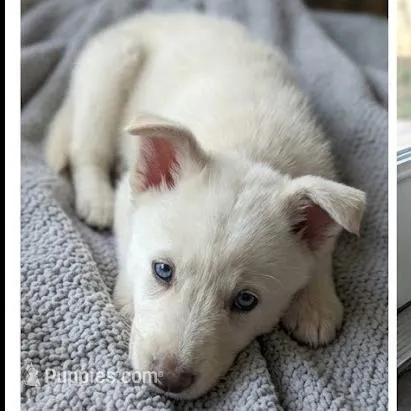 processed/c5455937-105d-4dac-a0a3-2929a55089e5/listing/878ee308-2c8e-4bd1-bb4d-22f0aeb4d387/7e84a633-e0f2-4f89-b29a-34f3c779b7ec