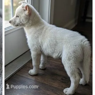 processed/c5455937-105d-4dac-a0a3-2929a55089e5/listing/878ee308-2c8e-4bd1-bb4d-22f0aeb4d387/8798963a-7070-42ce-b7b8-78759497b8ce