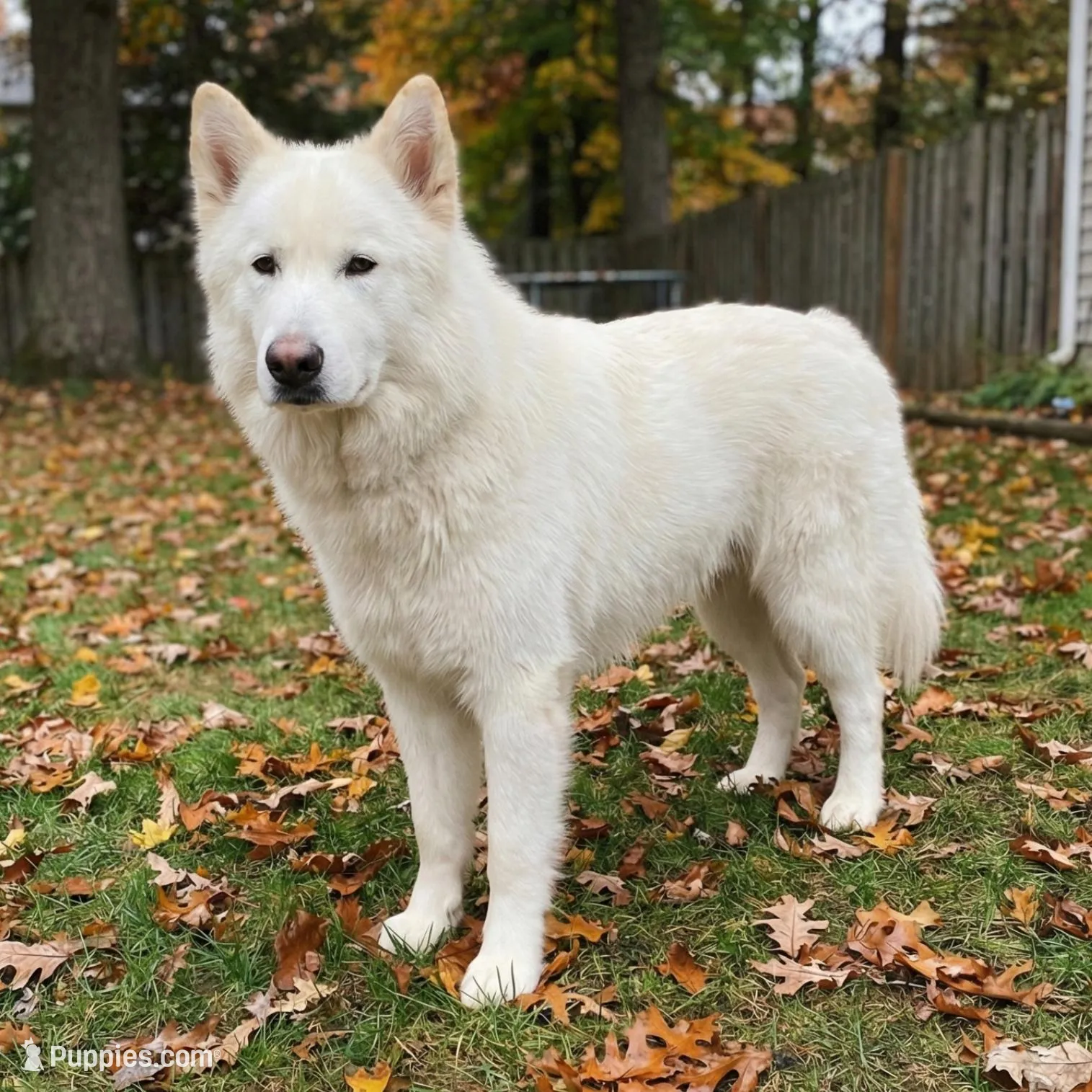 processed/c5455937-105d-4dac-a0a3-2929a55089e5/listing/abf81270-1a19-41b2-852b-8bcc5019ac14/509b66fa-00ed-4f98-9d0f-ed3933075d84