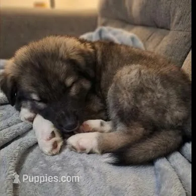 processed/c5455937-105d-4dac-a0a3-2929a55089e5/listing/abf81270-1a19-41b2-852b-8bcc5019ac14/78f537ee-063d-4260-9ef2-49590330b349