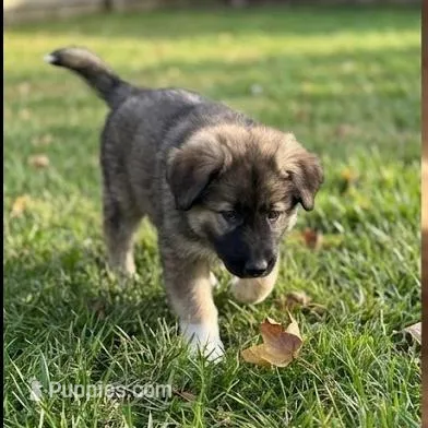 processed/c5455937-105d-4dac-a0a3-2929a55089e5/listing/abf81270-1a19-41b2-852b-8bcc5019ac14/a13f8c3f-da00-4847-bc0a-76c4fdb316f7