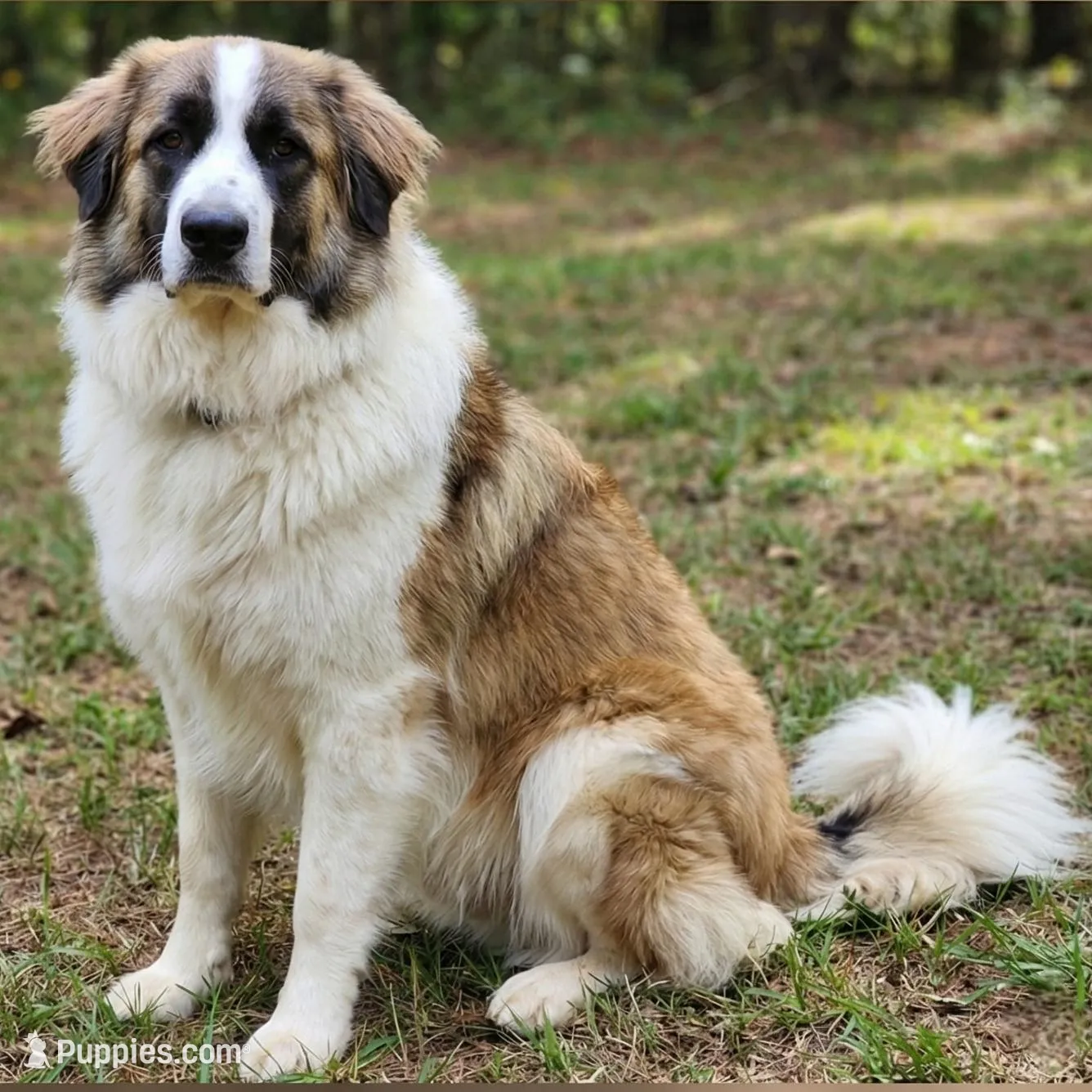 processed/c5455937-105d-4dac-a0a3-2929a55089e5/listing/abf81270-1a19-41b2-852b-8bcc5019ac14/ec53208a-9497-41f6-8378-e91856bd560b