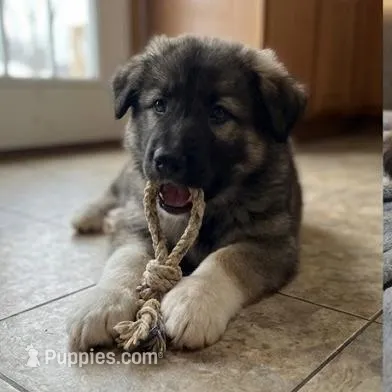 processed/c5455937-105d-4dac-a0a3-2929a55089e5/listing/abf81270-1a19-41b2-852b-8bcc5019ac14/edb36f4c-3d2c-43e7-a811-33ab74a9793f