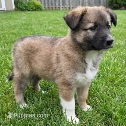 processed/c5455937-105d-4dac-a0a3-2929a55089e5/listing/c9f38286-c5b5-411f-bce1-f002ebc2dd32/481a7bf0-d49e-430b-ad09-bff033acbe5d