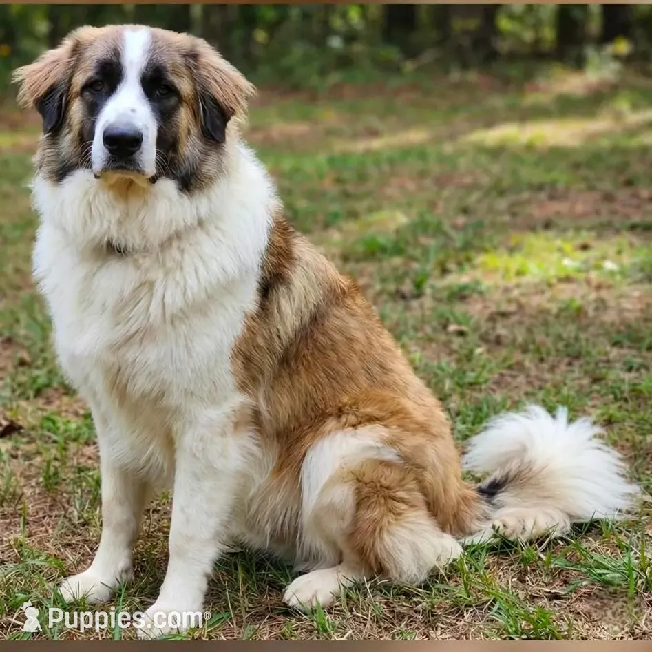 processed/c5455937-105d-4dac-a0a3-2929a55089e5/listing/c9f38286-c5b5-411f-bce1-f002ebc2dd32/78069532-a142-45ab-bbd0-960182a7180a