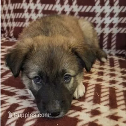 processed/c5455937-105d-4dac-a0a3-2929a55089e5/listing/c9f38286-c5b5-411f-bce1-f002ebc2dd32/e25eb634-c903-41b6-b91a-80ad3049018f