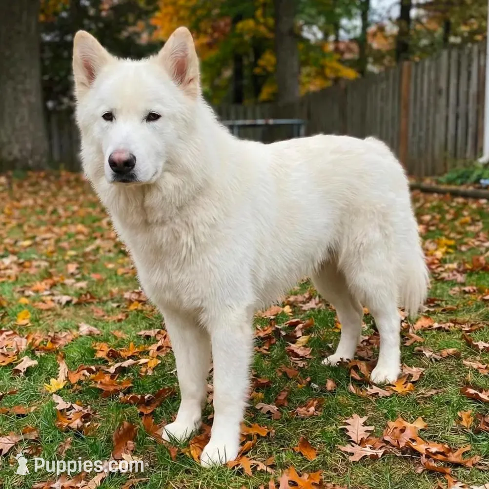 processed/c5455937-105d-4dac-a0a3-2929a55089e5/listing/c9f38286-c5b5-411f-bce1-f002ebc2dd32/e50e393e-74fa-409d-844c-4a80a118e5b0