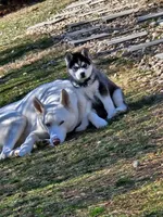 processed/c545c949-db27-4aaf-a437-30497b994b42/facility/2aba6ba8-d561-4bec-83a9-d0e2e1d71c6a