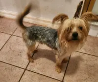 processed/c54ba65d-a31a-4879-8066-f49c5bfdf279/listing/d155a0be-8e21-47ca-b93b-121d945ca5b8/56868f2b-d51d-45e6-8f05-b8e3240697e6