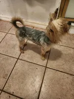 processed/c54ba65d-a31a-4879-8066-f49c5bfdf279/listing/d155a0be-8e21-47ca-b93b-121d945ca5b8/69033db7-1d36-4389-930b-4424b0873954