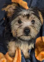 processed/c54ba65d-a31a-4879-8066-f49c5bfdf279/listing/d155a0be-8e21-47ca-b93b-121d945ca5b8/fd5fd858-a76b-4817-91ac-6a68c2410b84