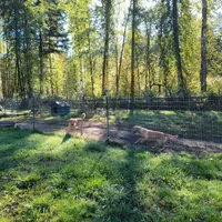 processed/c5537523-216b-48ce-ba28-d1449f277c00/facility/bad8c51a-71ff-43db-8631-3cf3d06e5d68