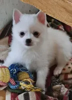 processed/c55749c1-4c9f-4154-a650-0487689a11fd/listing/3eacc8ee-d9ef-4bbf-bb8f-9e8a91459366/4be04735-6167-4f11-85b6-7253968268b1