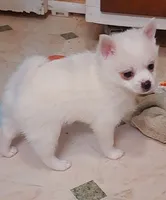 processed/c55749c1-4c9f-4154-a650-0487689a11fd/listing/3eacc8ee-d9ef-4bbf-bb8f-9e8a91459366/7bebdbb1-d7b9-40e1-9691-746cd86f9b81