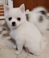 processed/c55749c1-4c9f-4154-a650-0487689a11fd/listing/3eacc8ee-d9ef-4bbf-bb8f-9e8a91459366/84611949-02f9-4907-ac6a-e44eafdab8fa