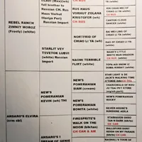 creamy white little WINTER, a male Pomeranian for sale in Wisconsin Dells, WI – Photo 8 of 10