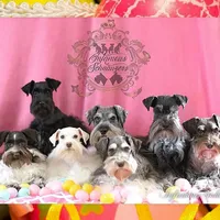 processed/c55e8332-5a28-4631-a0fb-8b1e5ded694c/facility/10c9d72a-c302-4cde-8ba3-866341b842af