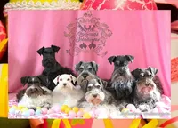 processed/c55e8332-5a28-4631-a0fb-8b1e5ded694c/facility/10c9d72a-c302-4cde-8ba3-866341b842af