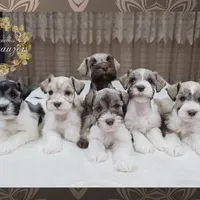 processed/c55e8332-5a28-4631-a0fb-8b1e5ded694c/facility/1ece8332-1466-4f20-848f-cd804bb470da