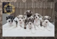 processed/c55e8332-5a28-4631-a0fb-8b1e5ded694c/facility/1ece8332-1466-4f20-848f-cd804bb470da