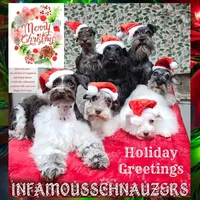 processed/c55e8332-5a28-4631-a0fb-8b1e5ded694c/facility/20427208-ce4f-4511-ad45-88e8066abe84