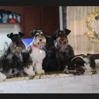 processed/c55e8332-5a28-4631-a0fb-8b1e5ded694c/facility/372c4780-3449-45e7-8310-ef4e31596708